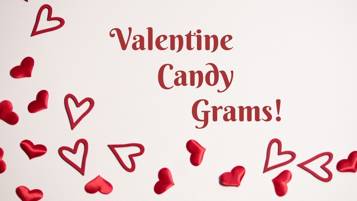  Valentine's Day Bag Grams